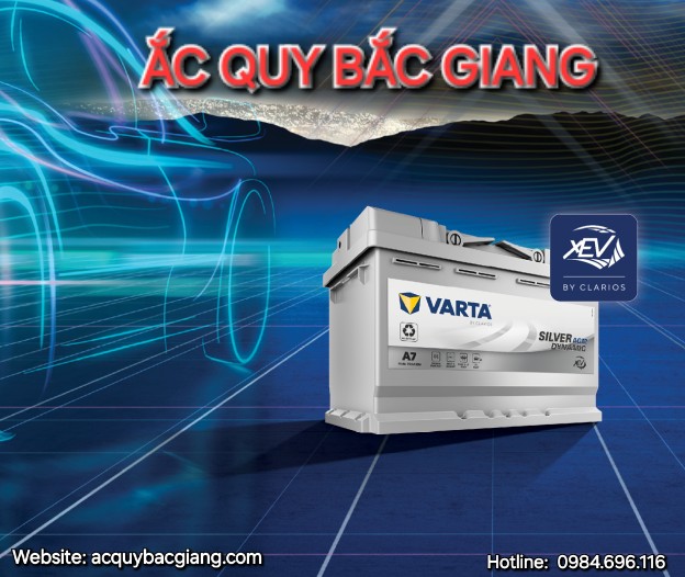 ac-quy-varta